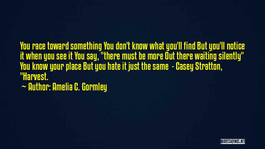 Amelia C. Gormley Quotes: You Race Toward Something You Don't Know What You'll Find But You'll Notice It When You See It You Say,