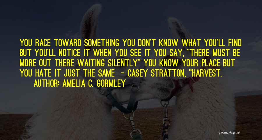 Amelia C. Gormley Quotes: You Race Toward Something You Don't Know What You'll Find But You'll Notice It When You See It You Say,