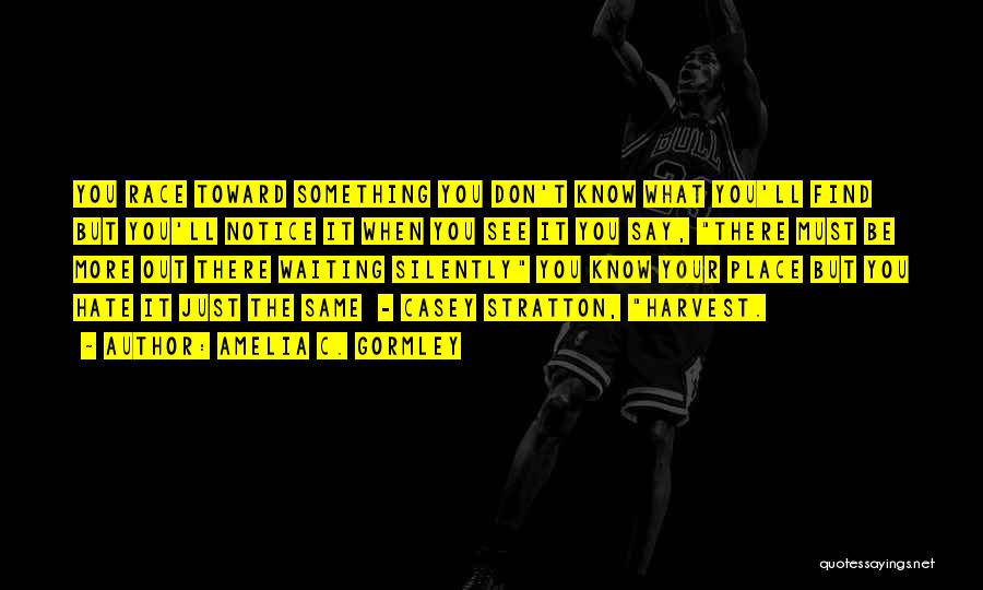 Amelia C. Gormley Quotes: You Race Toward Something You Don't Know What You'll Find But You'll Notice It When You See It You Say,