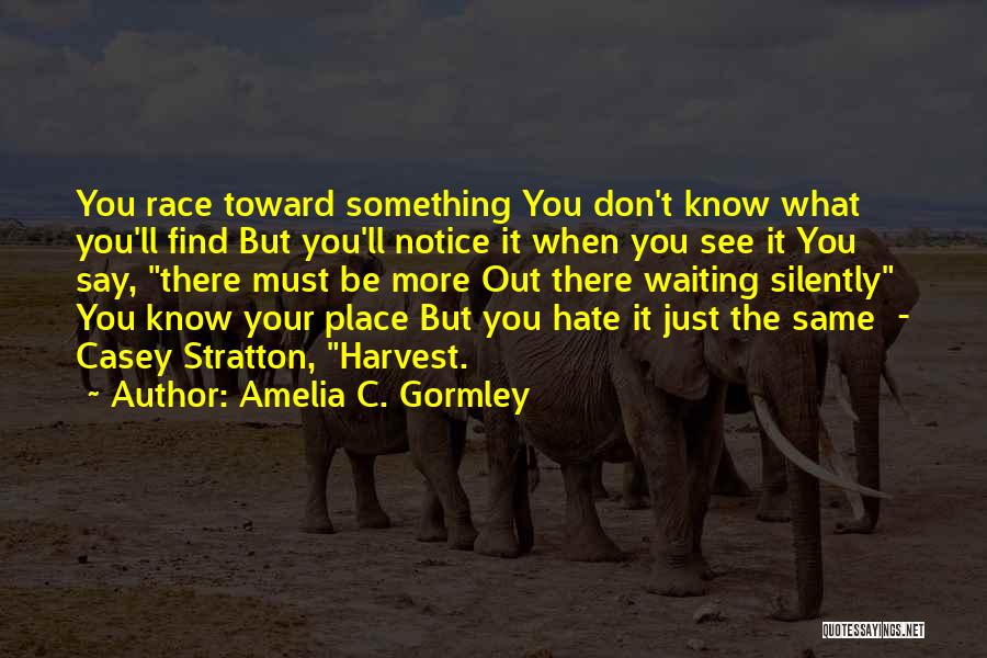 Amelia C. Gormley Quotes: You Race Toward Something You Don't Know What You'll Find But You'll Notice It When You See It You Say,