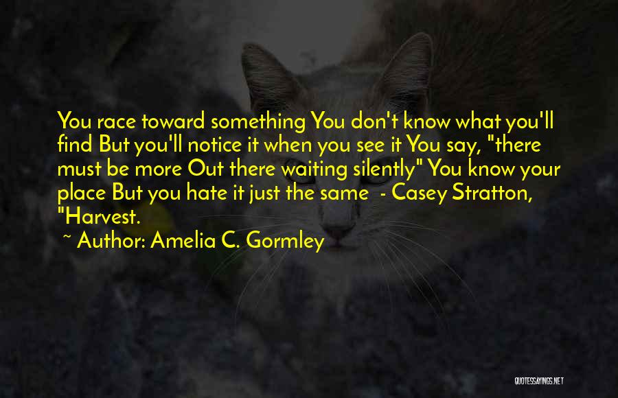 Amelia C. Gormley Quotes: You Race Toward Something You Don't Know What You'll Find But You'll Notice It When You See It You Say,