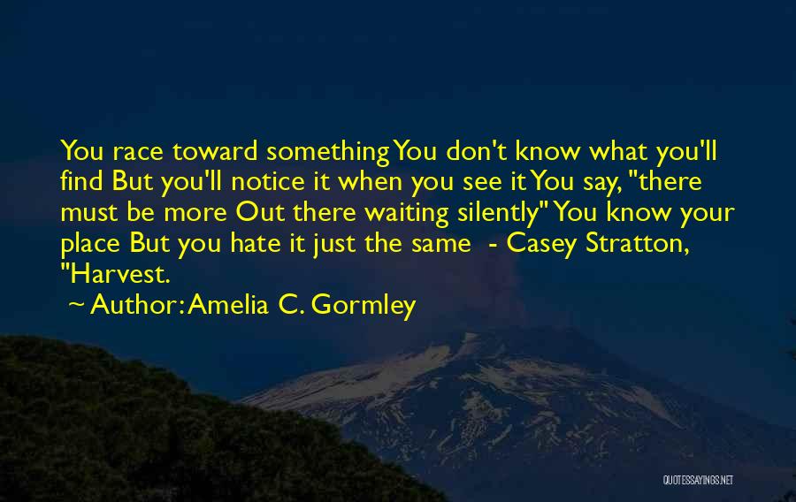 Amelia C. Gormley Quotes: You Race Toward Something You Don't Know What You'll Find But You'll Notice It When You See It You Say,