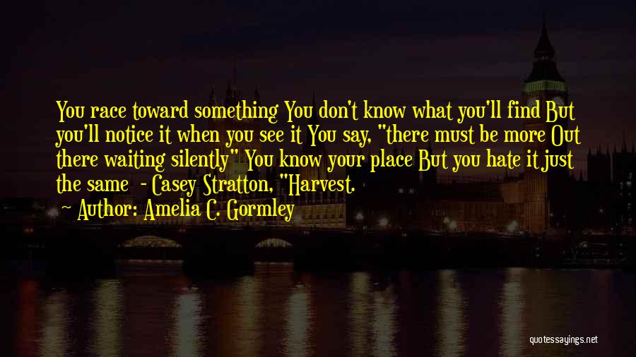 Amelia C. Gormley Quotes: You Race Toward Something You Don't Know What You'll Find But You'll Notice It When You See It You Say,