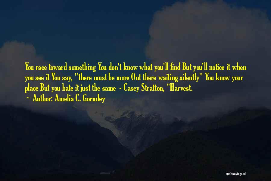 Amelia C. Gormley Quotes: You Race Toward Something You Don't Know What You'll Find But You'll Notice It When You See It You Say,