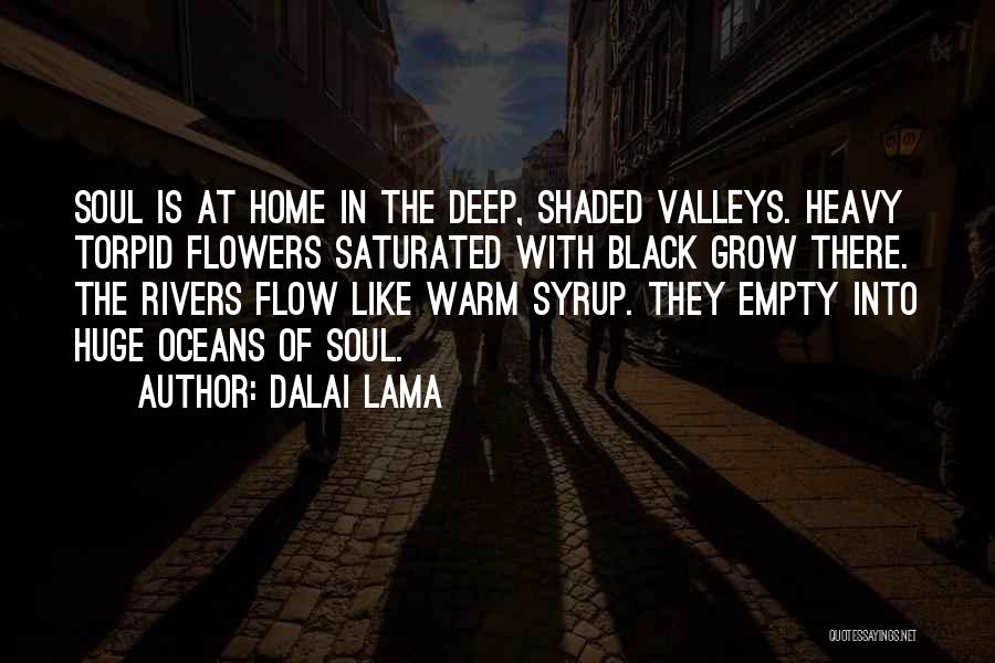 Dalai Lama Quotes: Soul Is At Home In The Deep, Shaded Valleys. Heavy Torpid Flowers Saturated With Black Grow There. The Rivers Flow