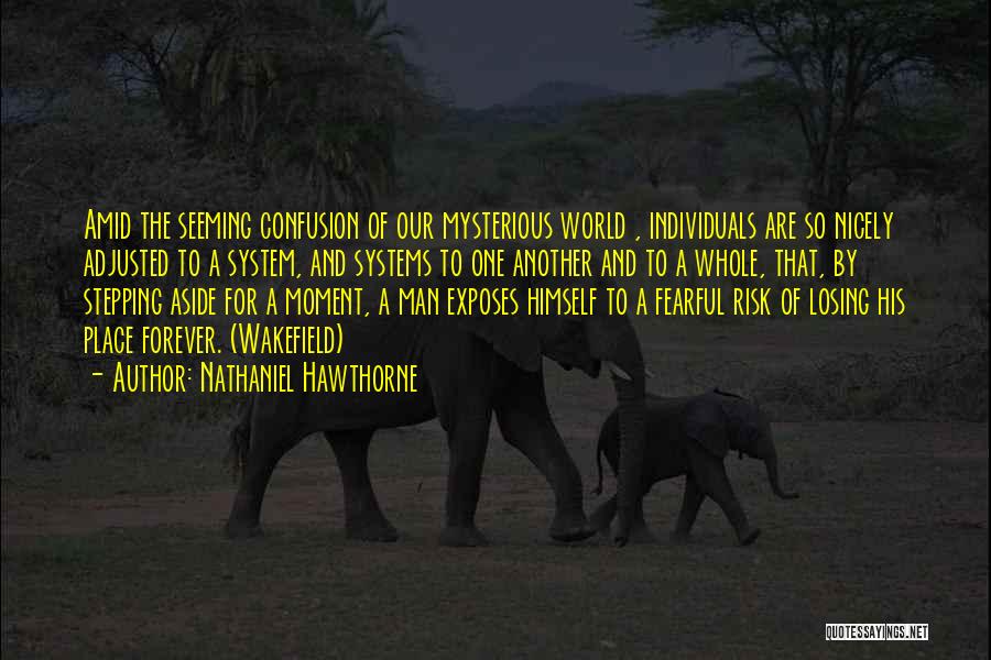 Nathaniel Hawthorne Quotes: Amid The Seeming Confusion Of Our Mysterious World , Individuals Are So Nicely Adjusted To A System, And Systems To