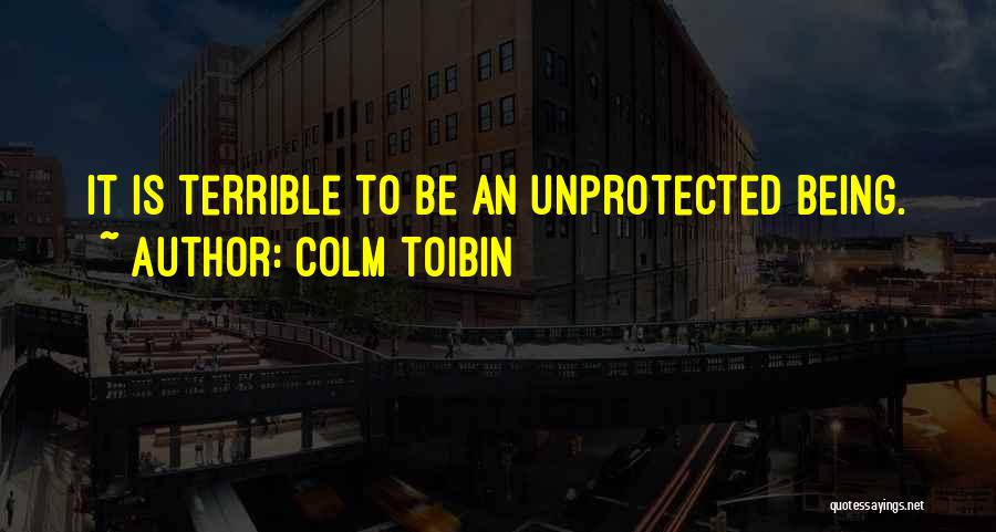 Colm Toibin Quotes: It Is Terrible To Be An Unprotected Being.