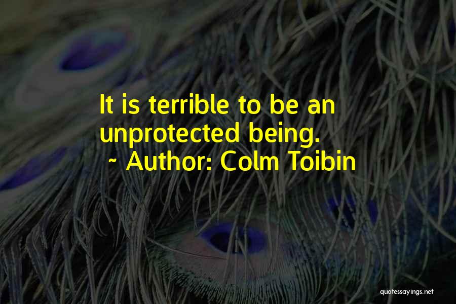 Colm Toibin Quotes: It Is Terrible To Be An Unprotected Being.