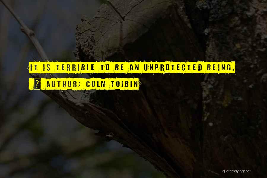 Colm Toibin Quotes: It Is Terrible To Be An Unprotected Being.