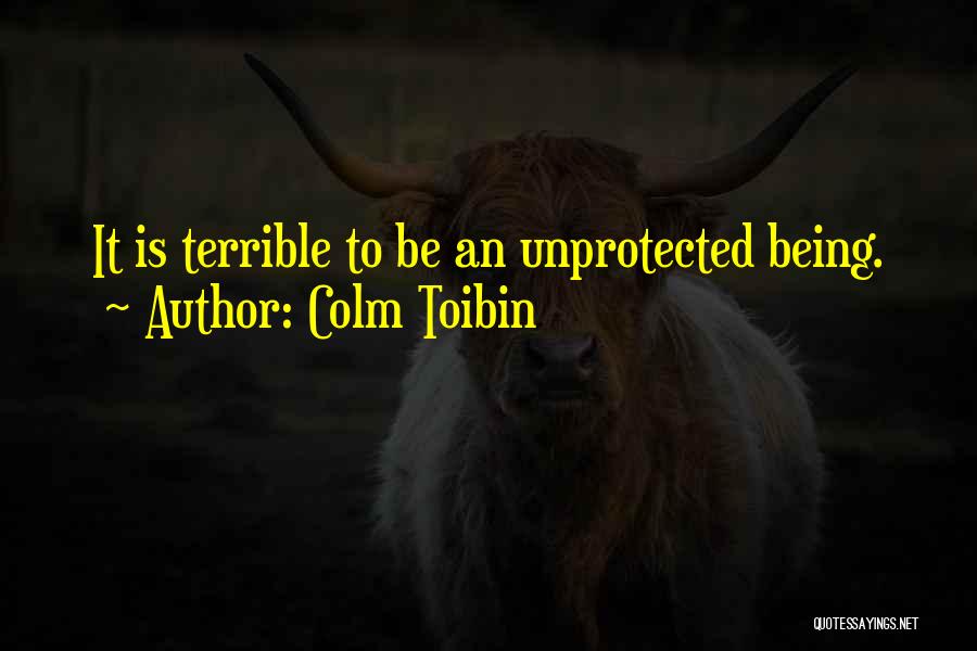 Colm Toibin Quotes: It Is Terrible To Be An Unprotected Being.