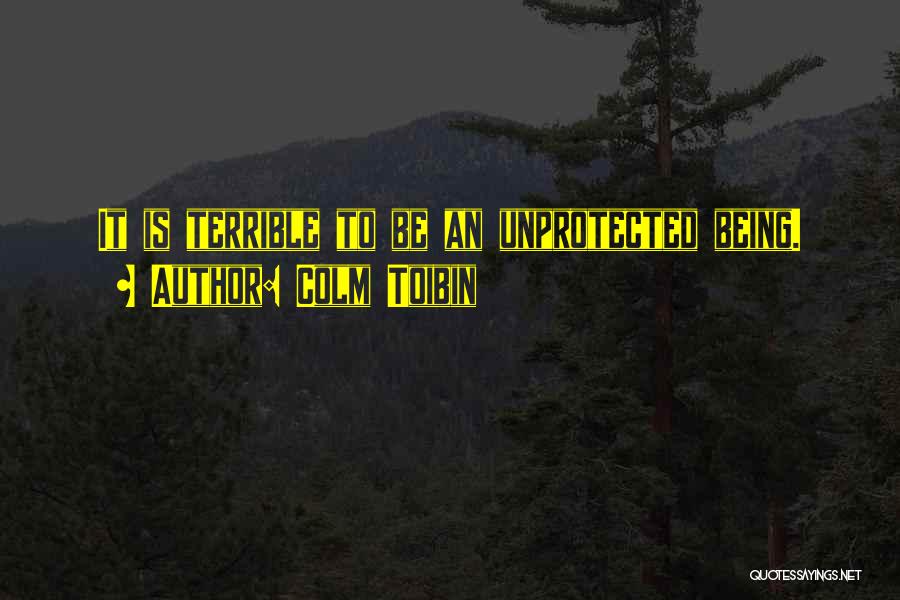 Colm Toibin Quotes: It Is Terrible To Be An Unprotected Being.