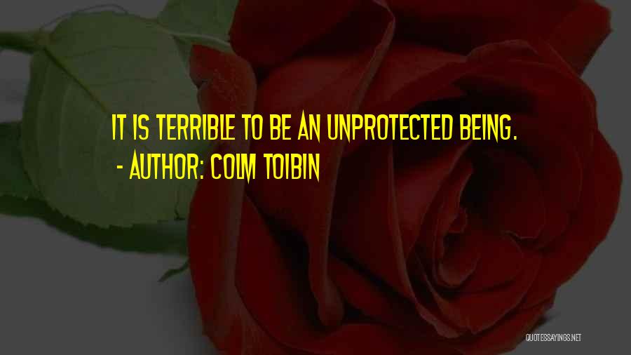 Colm Toibin Quotes: It Is Terrible To Be An Unprotected Being.