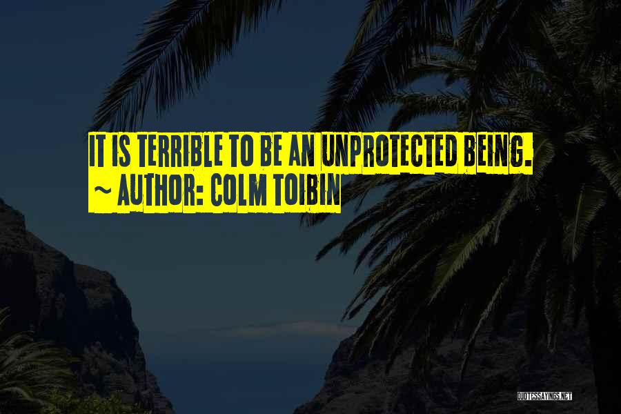 Colm Toibin Quotes: It Is Terrible To Be An Unprotected Being.