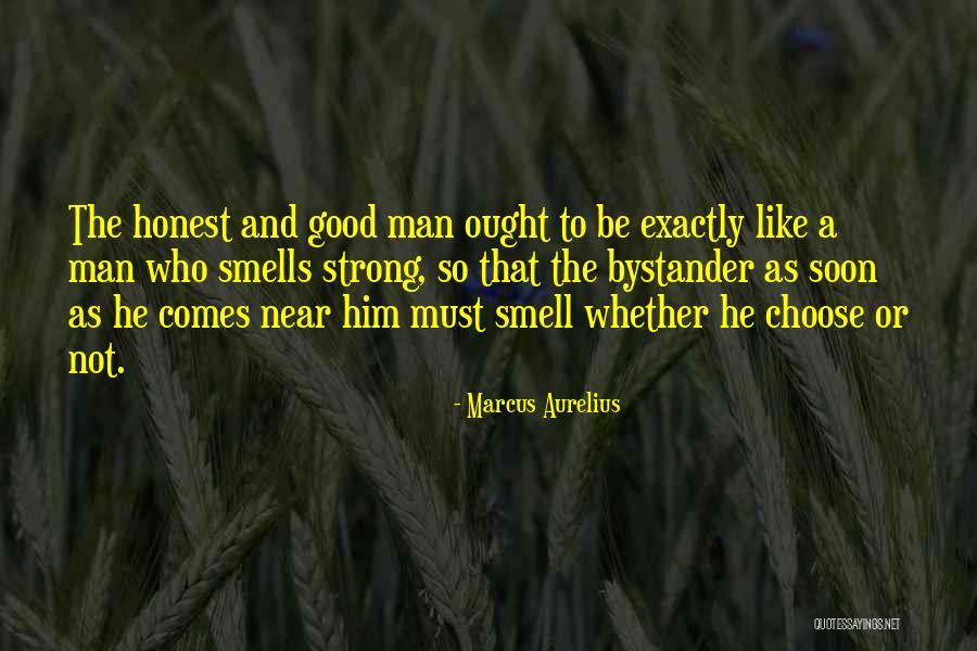 1328 Maple Quotes By Marcus Aurelius 1328 Maple Quotes By Marcus Aurelius