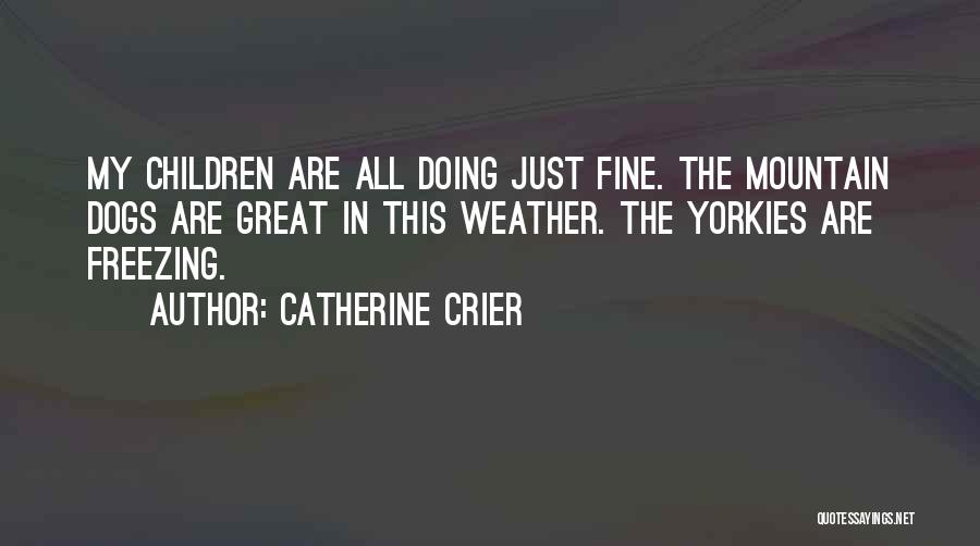 Catherine Crier Quotes: My Children Are All Doing Just Fine. The Mountain Dogs Are Great In This Weather. The Yorkies Are Freezing.