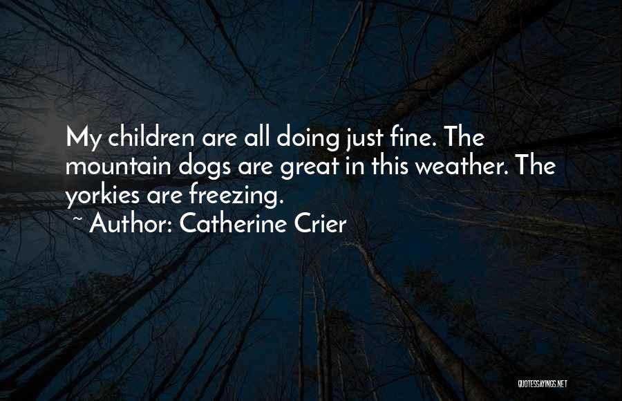 Catherine Crier Quotes: My Children Are All Doing Just Fine. The Mountain Dogs Are Great In This Weather. The Yorkies Are Freezing.