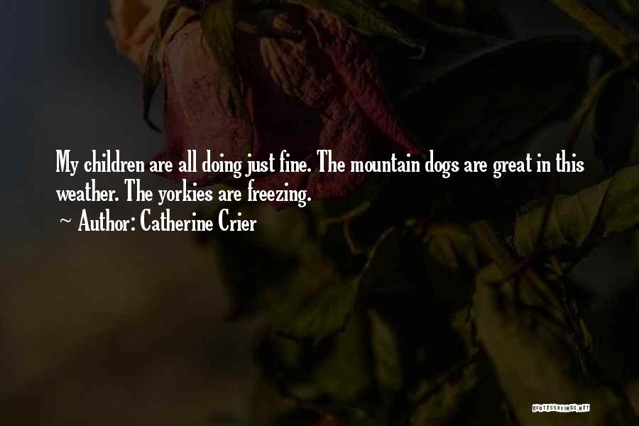 Catherine Crier Quotes: My Children Are All Doing Just Fine. The Mountain Dogs Are Great In This Weather. The Yorkies Are Freezing.