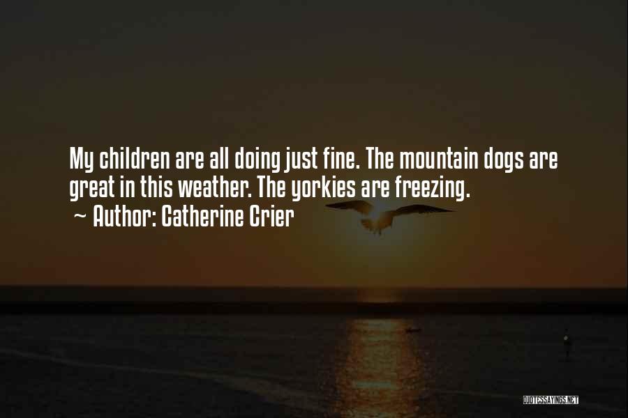 Catherine Crier Quotes: My Children Are All Doing Just Fine. The Mountain Dogs Are Great In This Weather. The Yorkies Are Freezing.