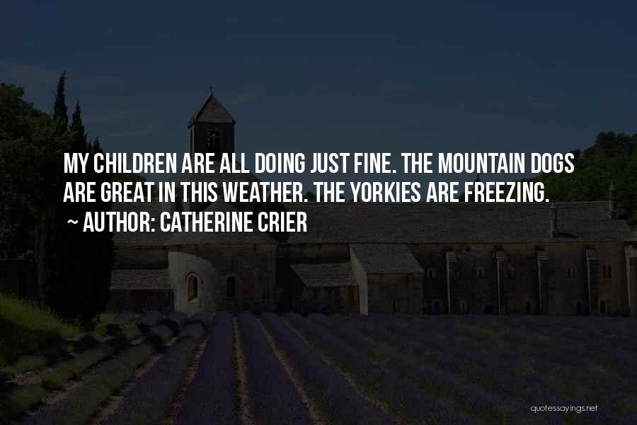 Catherine Crier Quotes: My Children Are All Doing Just Fine. The Mountain Dogs Are Great In This Weather. The Yorkies Are Freezing.