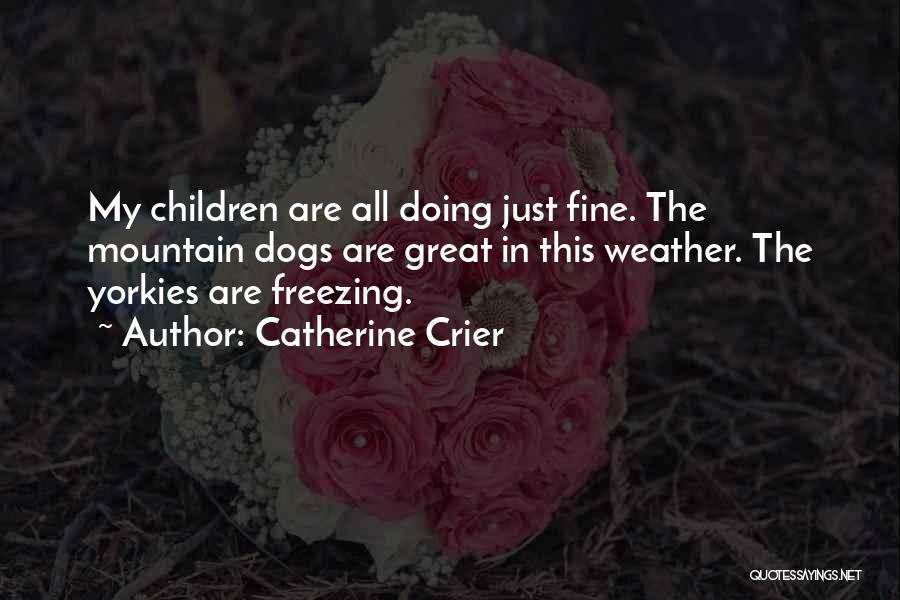 Catherine Crier Quotes: My Children Are All Doing Just Fine. The Mountain Dogs Are Great In This Weather. The Yorkies Are Freezing.