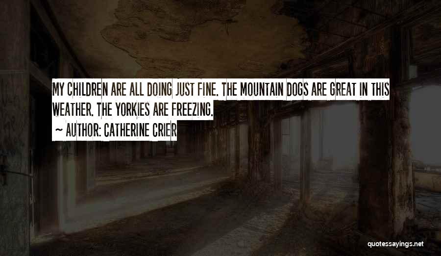 Catherine Crier Quotes: My Children Are All Doing Just Fine. The Mountain Dogs Are Great In This Weather. The Yorkies Are Freezing.