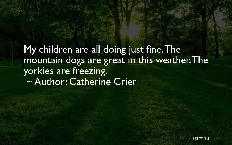 Catherine Crier Quotes: My Children Are All Doing Just Fine. The Mountain Dogs Are Great In This Weather. The Yorkies Are Freezing.