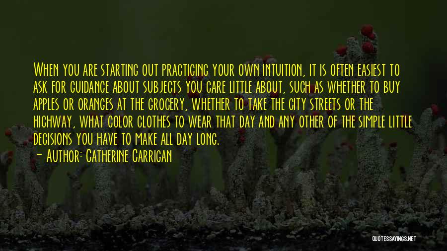 Catherine Carrigan Quotes: When You Are Starting Out Practicing Your Own Intuition, It Is Often Easiest To Ask For Guidance About Subjects You