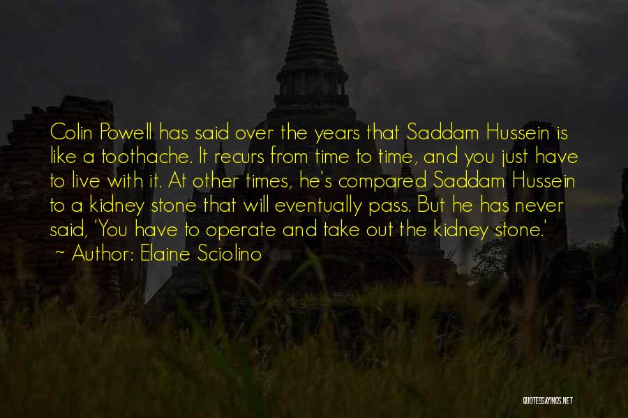 Elaine Sciolino Quotes: Colin Powell Has Said Over The Years That Saddam Hussein Is Like A Toothache. It Recurs From Time To Time,