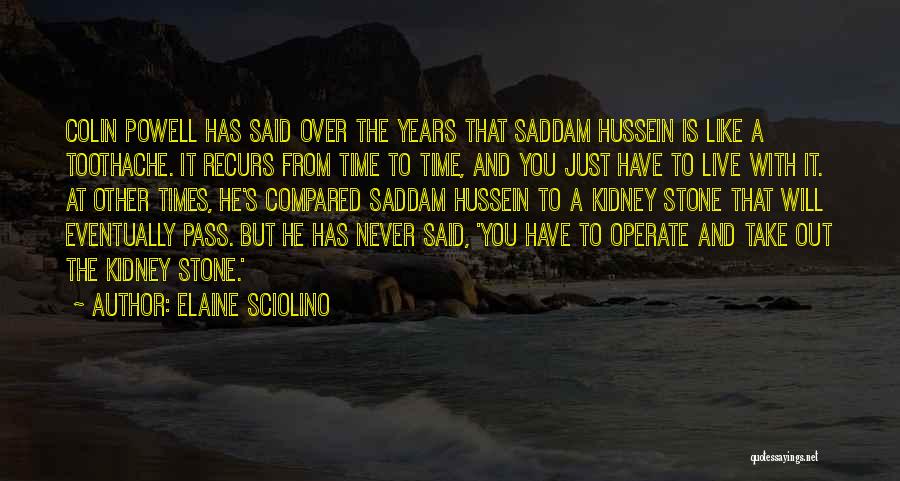 Elaine Sciolino Quotes: Colin Powell Has Said Over The Years That Saddam Hussein Is Like A Toothache. It Recurs From Time To Time,