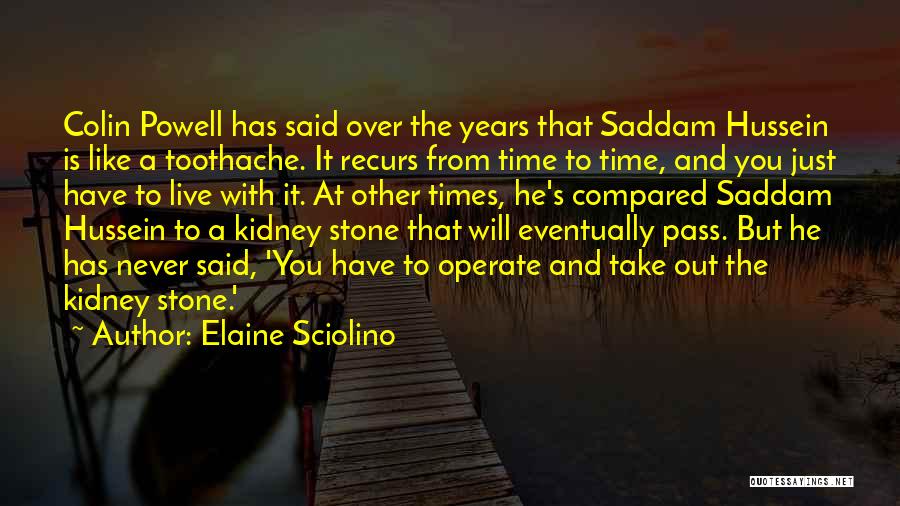 Elaine Sciolino Quotes: Colin Powell Has Said Over The Years That Saddam Hussein Is Like A Toothache. It Recurs From Time To Time,