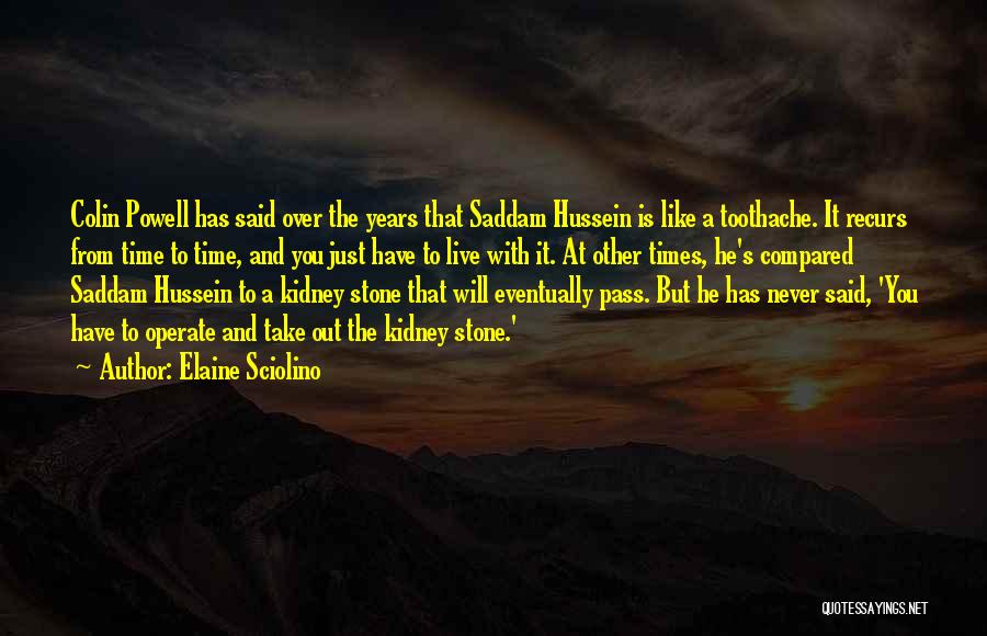Elaine Sciolino Quotes: Colin Powell Has Said Over The Years That Saddam Hussein Is Like A Toothache. It Recurs From Time To Time,