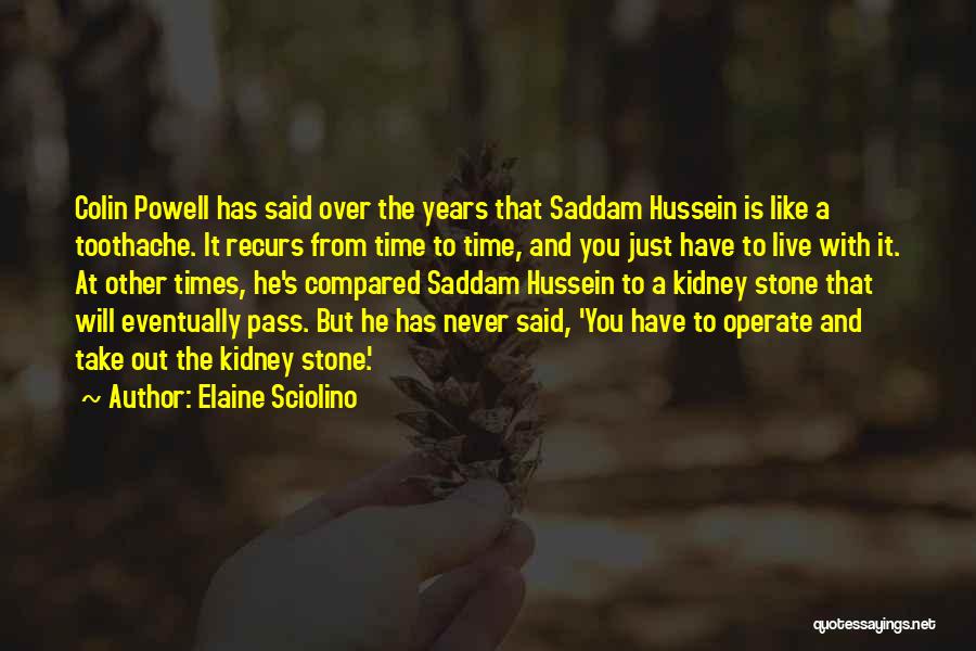 Elaine Sciolino Quotes: Colin Powell Has Said Over The Years That Saddam Hussein Is Like A Toothache. It Recurs From Time To Time,