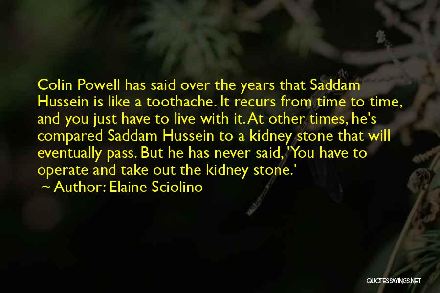 Elaine Sciolino Quotes: Colin Powell Has Said Over The Years That Saddam Hussein Is Like A Toothache. It Recurs From Time To Time,