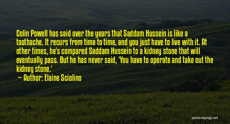 Elaine Sciolino Quotes: Colin Powell Has Said Over The Years That Saddam Hussein Is Like A Toothache. It Recurs From Time To Time,