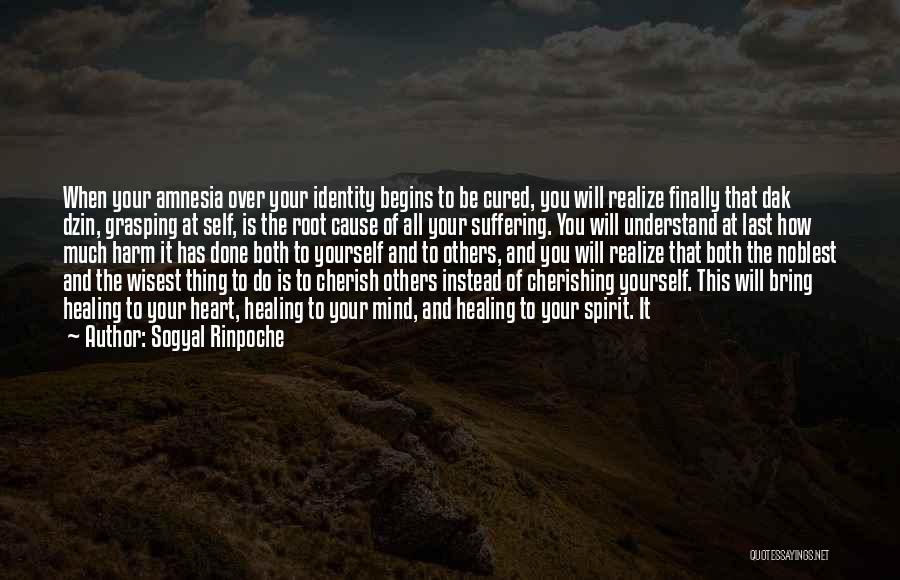 Sogyal Rinpoche Quotes: When Your Amnesia Over Your Identity Begins To Be Cured, You Will Realize Finally That Dak Dzin, Grasping At Self,