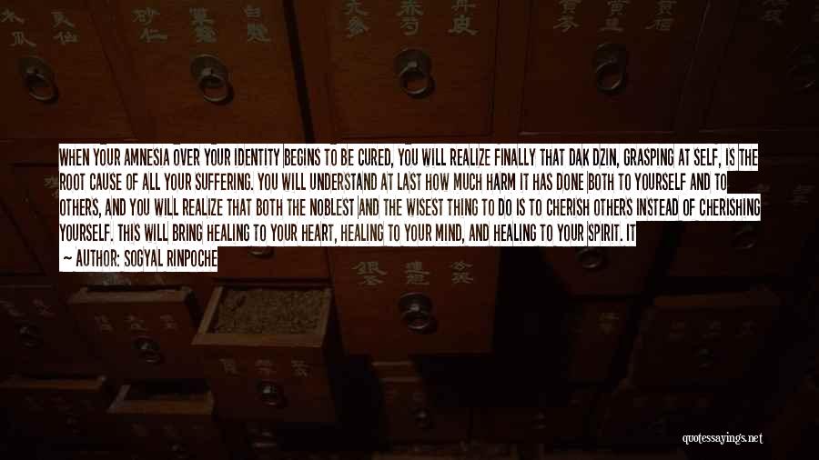 Sogyal Rinpoche Quotes: When Your Amnesia Over Your Identity Begins To Be Cured, You Will Realize Finally That Dak Dzin, Grasping At Self,