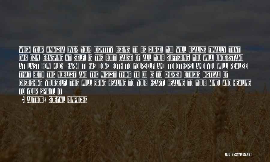 Sogyal Rinpoche Quotes: When Your Amnesia Over Your Identity Begins To Be Cured, You Will Realize Finally That Dak Dzin, Grasping At Self,