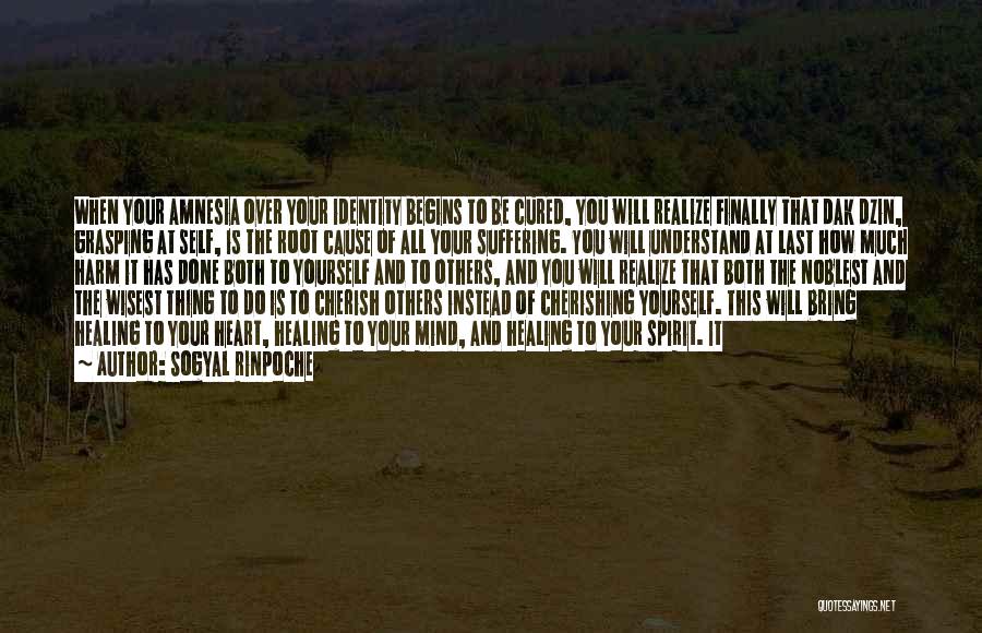 Sogyal Rinpoche Quotes: When Your Amnesia Over Your Identity Begins To Be Cured, You Will Realize Finally That Dak Dzin, Grasping At Self,