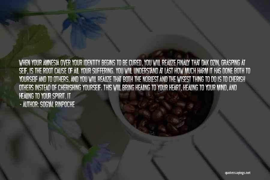 Sogyal Rinpoche Quotes: When Your Amnesia Over Your Identity Begins To Be Cured, You Will Realize Finally That Dak Dzin, Grasping At Self,