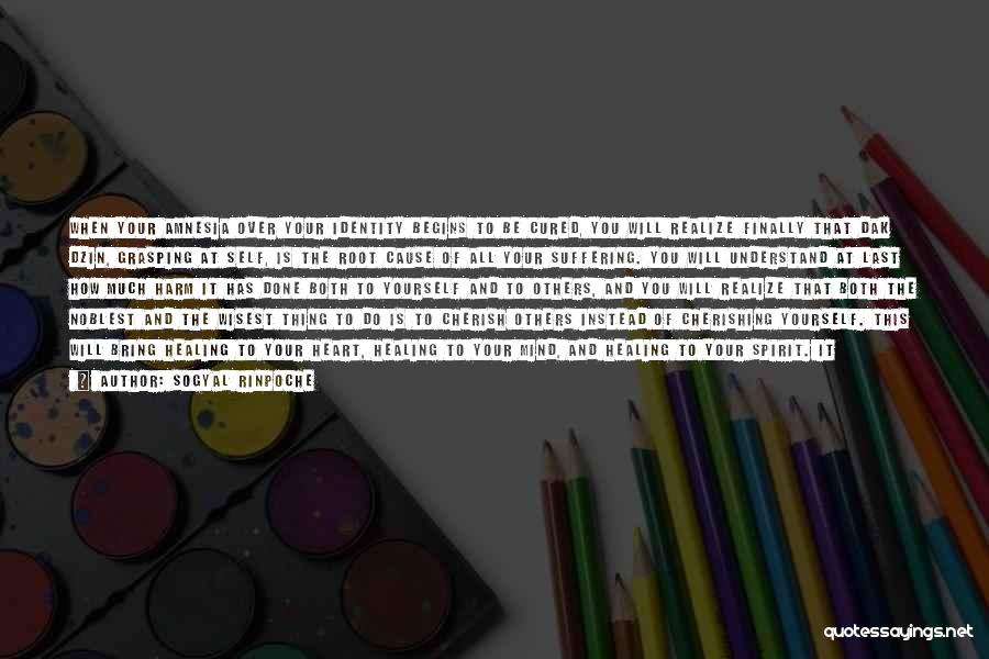 Sogyal Rinpoche Quotes: When Your Amnesia Over Your Identity Begins To Be Cured, You Will Realize Finally That Dak Dzin, Grasping At Self,