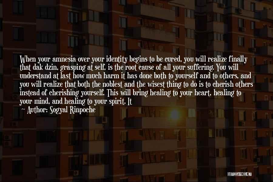 Sogyal Rinpoche Quotes: When Your Amnesia Over Your Identity Begins To Be Cured, You Will Realize Finally That Dak Dzin, Grasping At Self,