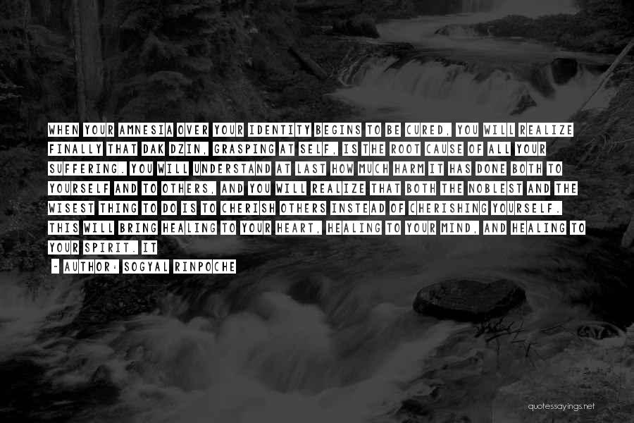 Sogyal Rinpoche Quotes: When Your Amnesia Over Your Identity Begins To Be Cured, You Will Realize Finally That Dak Dzin, Grasping At Self,