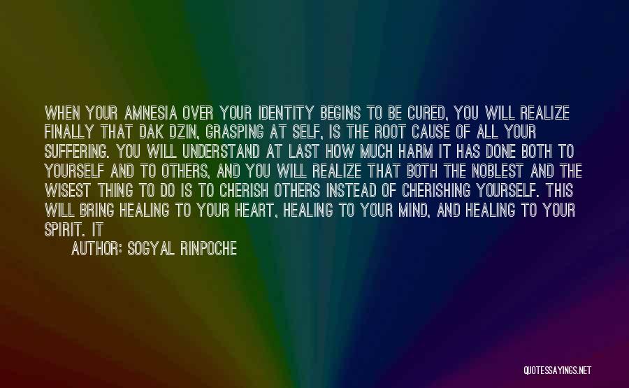 Sogyal Rinpoche Quotes: When Your Amnesia Over Your Identity Begins To Be Cured, You Will Realize Finally That Dak Dzin, Grasping At Self,