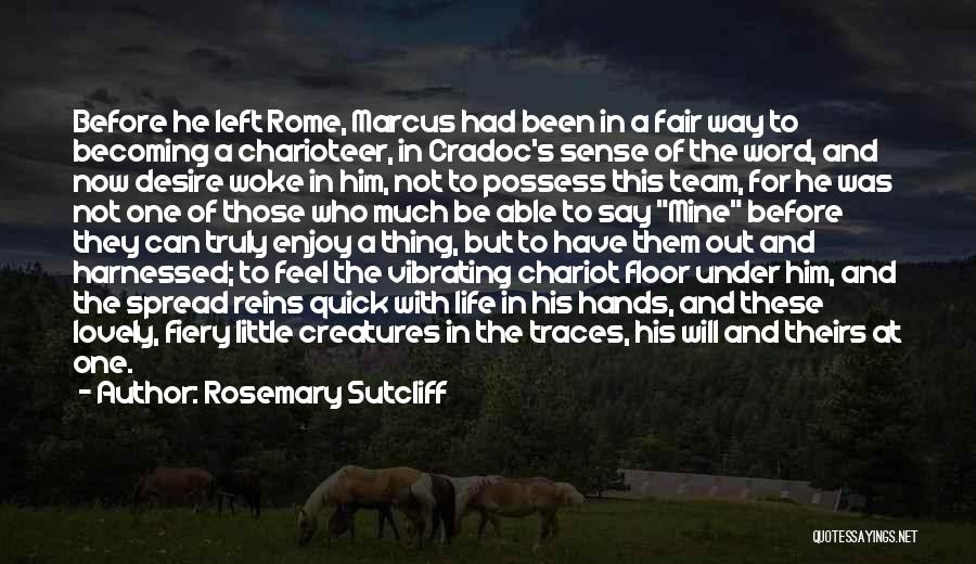 Rosemary Sutcliff Quotes: Before He Left Rome, Marcus Had Been In A Fair Way To Becoming A Charioteer, In Cradoc's Sense Of The