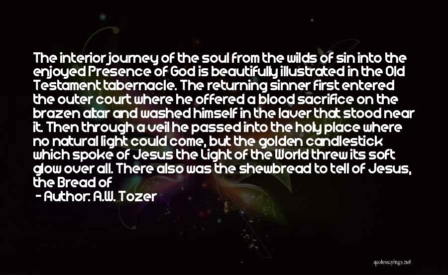 A.W. Tozer Quotes: The Interior Journey Of The Soul From The Wilds Of Sin Into The Enjoyed Presence Of God Is Beautifully Illustrated