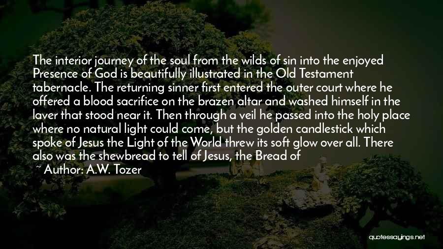 A.W. Tozer Quotes: The Interior Journey Of The Soul From The Wilds Of Sin Into The Enjoyed Presence Of God Is Beautifully Illustrated