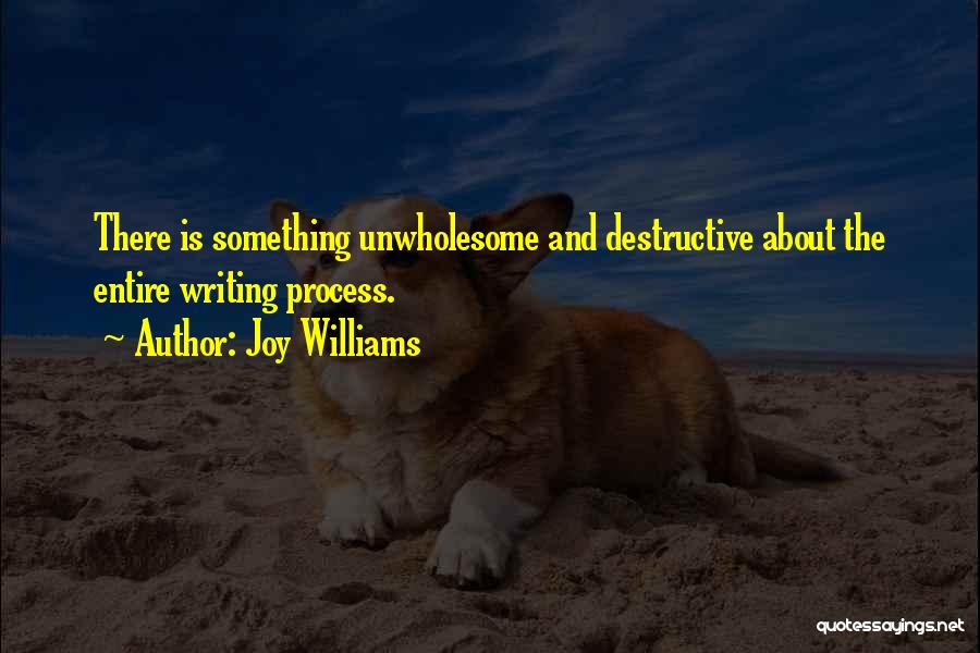 Joy Williams Quotes: There Is Something Unwholesome And Destructive About The Entire Writing Process.