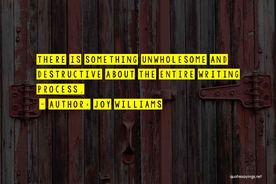 Joy Williams Quotes: There Is Something Unwholesome And Destructive About The Entire Writing Process.
