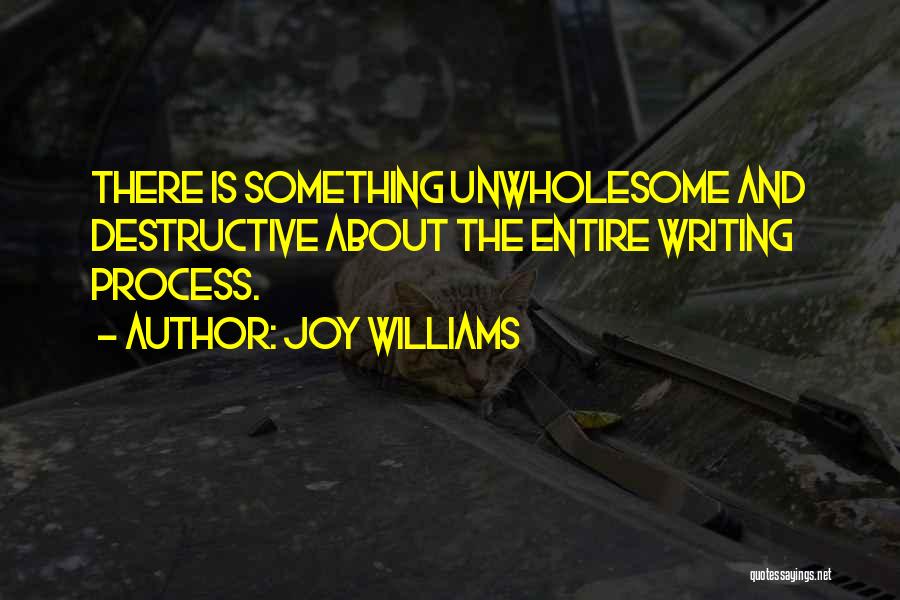 Joy Williams Quotes: There Is Something Unwholesome And Destructive About The Entire Writing Process.