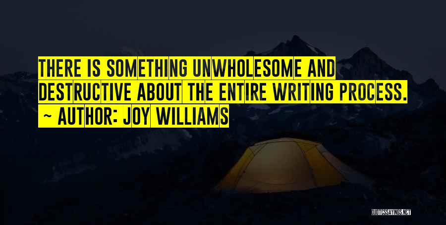 Joy Williams Quotes: There Is Something Unwholesome And Destructive About The Entire Writing Process.